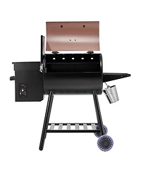 Asagikoiai Outdoor Electric Pellet Grill Smoker with Meat Probe and 12 lb Hopper
