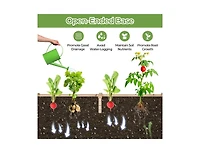 Lucky One Raised Garden Bed with Planter Box and Trellis for Climbing Plants