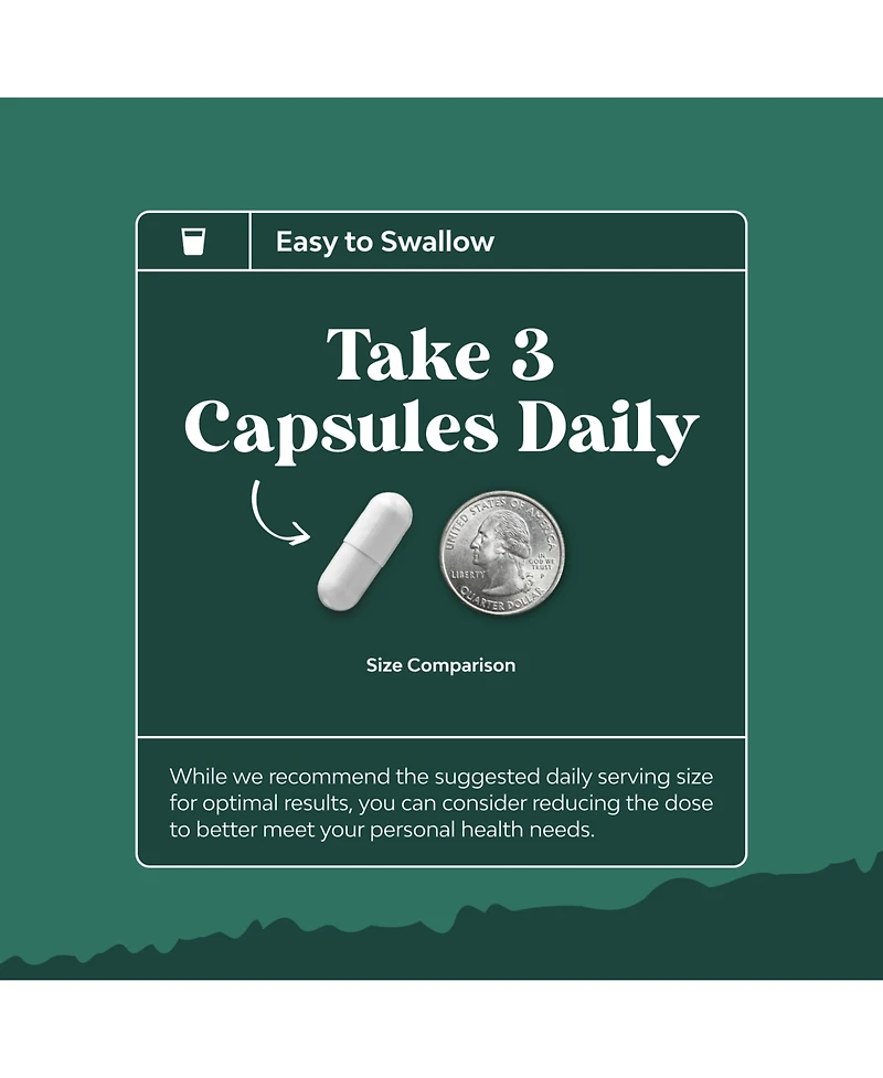 Nature's Craft Ox Bile Complex Capsules, 90ct