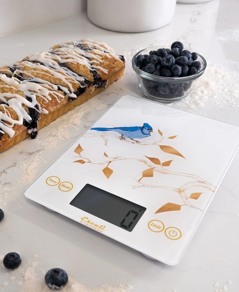 Escali Arti Blue Jay Glass 9" Digital Food Scale