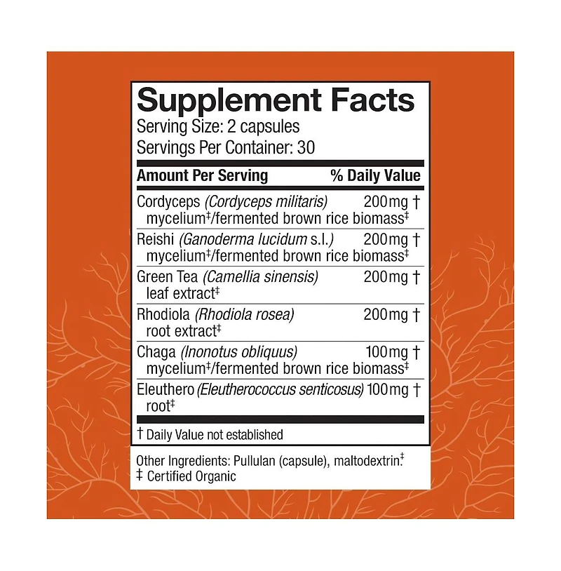 Host Defense MycoBotanicals Energy Capsules - Energy & Respiratory Support Supplement - Herbal Green Tea Capsules