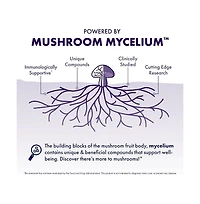 Host Defense Mushrooms Lion's Mane - Brain Health Support Supplement - Mushroom Supplement to Support Focus & Memory Function