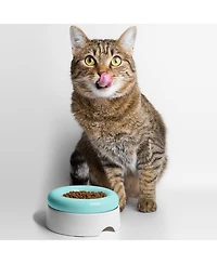 CatGuru Ceramic Cat Food Bowl