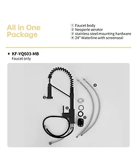 Phying Bothwa Home Cupc Certified 19" Single Handle Kitchen Faucet
