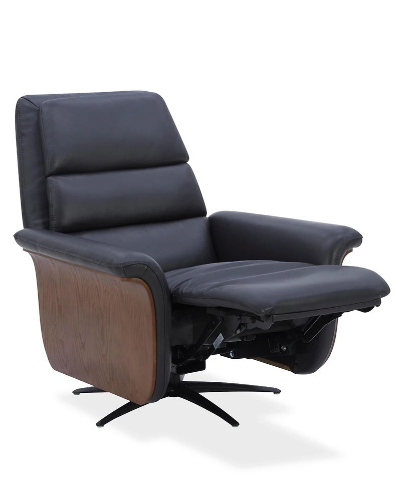 Fernand 43" Leather Power Swivel Recliner