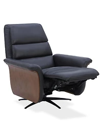 Fernand 43" Leather Power Swivel Recliner