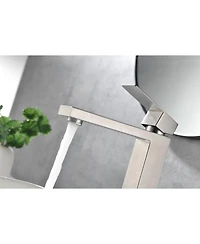 Midola Single Handle Bathroom Sink Faucet, Bathroom Sink Vanity Faucet with Water Supply Hose for Bathroom