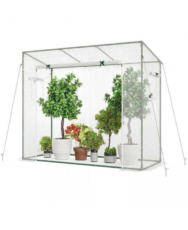 Gouun Walk-in Portable Greenhouse with Roll-Up Zipper Door