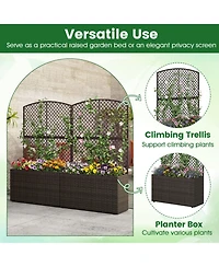 Gouun Set of 2 49 in Raised Garden Bed with Trellis and Wicker Planter Box