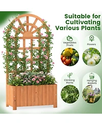 Gouun Wooden Raised Garden Bed with Trellis 48 in Outdoor Privacy Screen