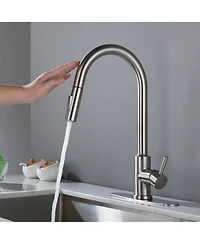 Phying Touch Kitchen Faucet with Pull Down Sprayer