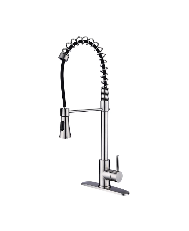 Phying Brushed Nickel Single Handle Commercial Modern Spring High Arc Kitchen Faucet Water Filter System Bends as You Want