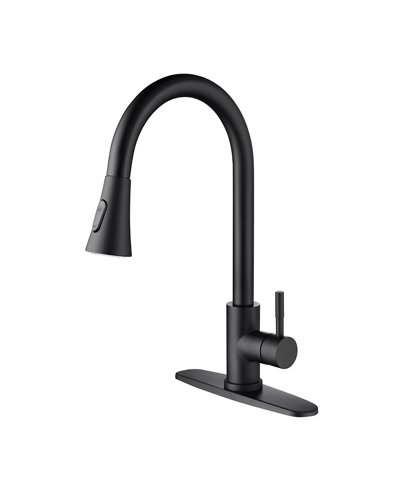 Phying Kitchen Faucet with Pull Out Spraye