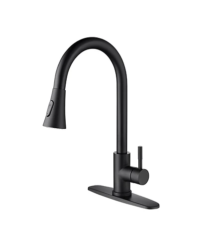 Phying Kitchen Faucet with Pull Out Spraye