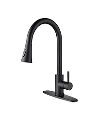 Phying Kitchen Faucet with Pull Out Spraye