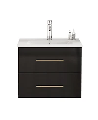 Sillysis Wall Mounted Bathroom Vanity with Ceramic Sink, Double Drawers