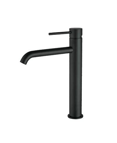 Busdays Tall Single Hole Modern Single Handle Bathroom Sink Faucet for Vanity Basin