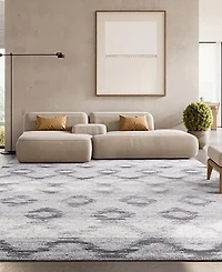 Safavieh Adirondack ADR106 8' x 10' Area Rug