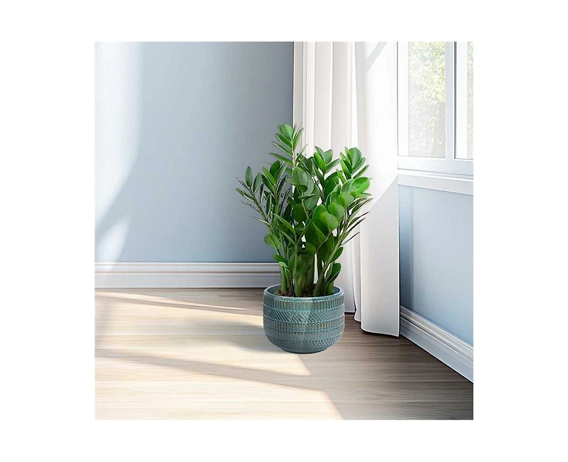 Clihome Handmade Deep Glazed Ceramic Planter Textured Pattern, for Succulents & Herbs Indoor/Outdoor Shelf Table Use