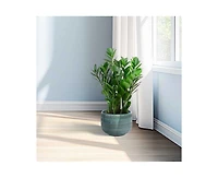 Clihome Handmade Deep Glazed Ceramic Planter Textured Pattern, for Succulents & Herbs Indoor/Outdoor Shelf Table Use