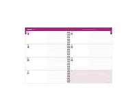 Tf Publishing Paper Goods 2027 Windows and Doors Large Weekly Monthly Planner