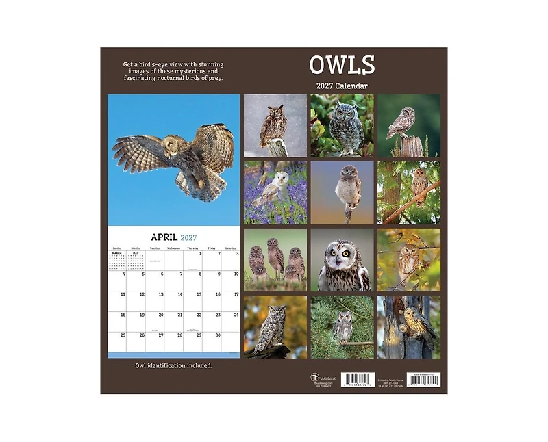 Tf Publishing Paper Goods 2027 Owls Wall Calendar