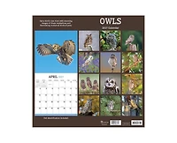 Tf Publishing Paper Goods 2027 Owls Wall Calendar