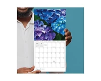 Tf Publishing Paper Goods 2027 Flowers Mini Calendar