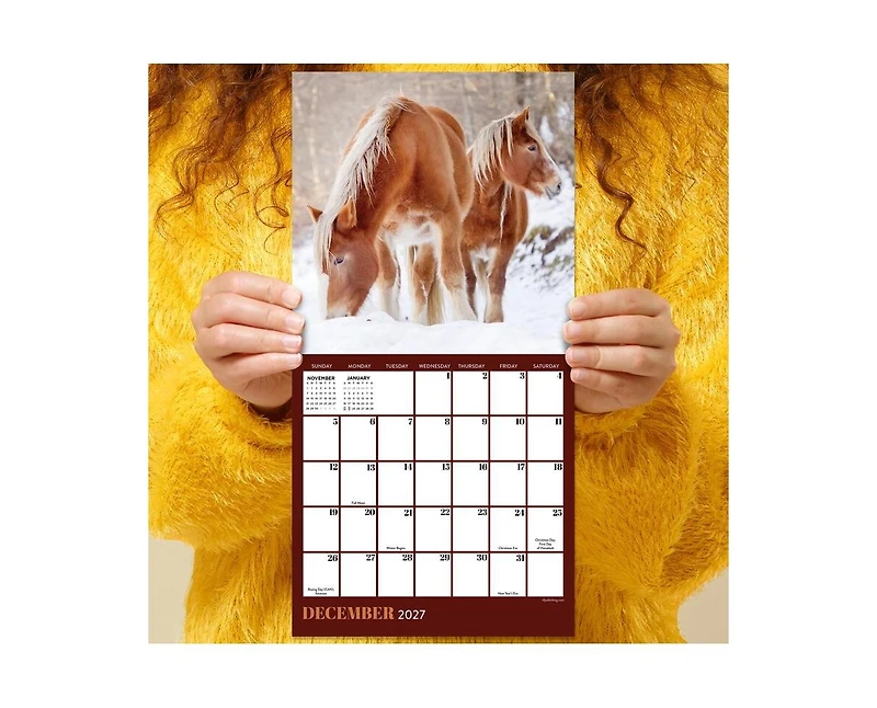 Tf Publishing Paper Goods 2027 Horses Mini Calendar