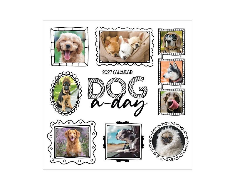Tf Publishing Paper Goods 2027 Dog-a-Day Wall Calendar