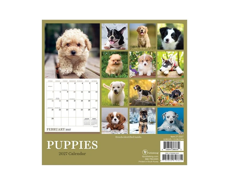 Tf Publishing Paper Goods 2027 Puppies Mini Calendar