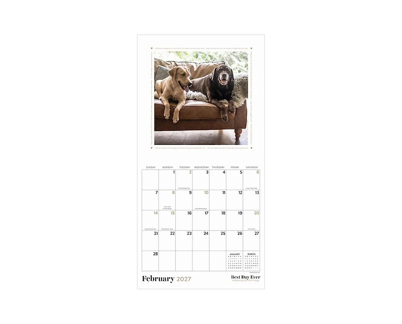 Tf Publishing Paper Goods 2027 Best Day Ever Dogs Mini Calendar