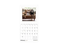 Tf Publishing Paper Goods 2027 Best Day Ever Dogs Mini Calendar