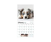 Tf Publishing Paper Goods 2027 Puppies Wall Calendar
