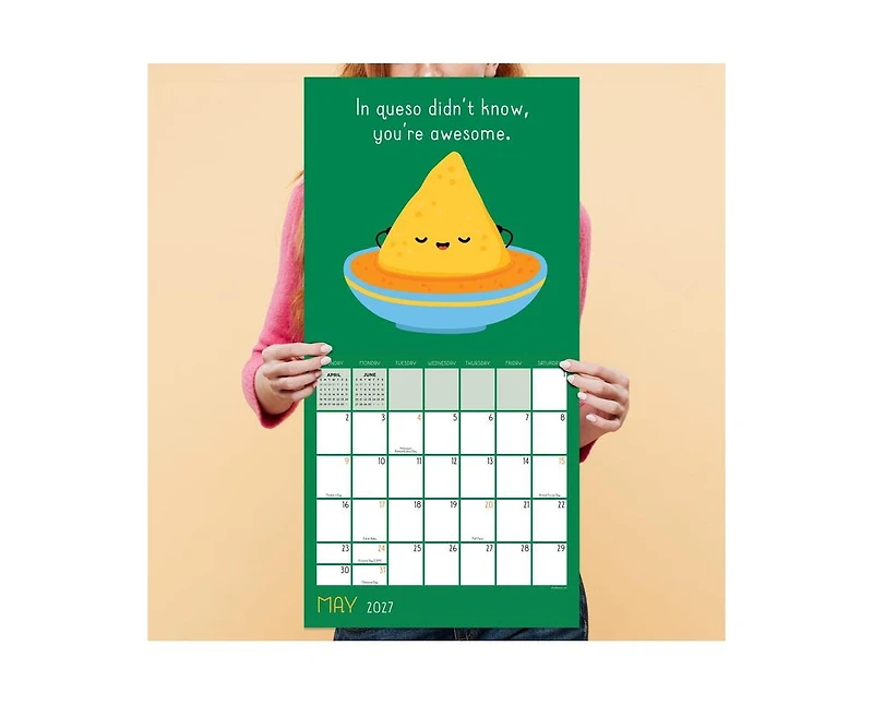 Tf Publishing Paper Goods 2027 Puns of Fun Wall Calendar
