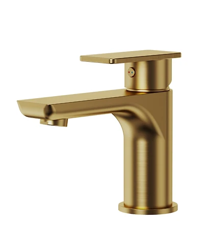 Everstein Bathroom Faucet with Drain Assembly, Single Handle Sink