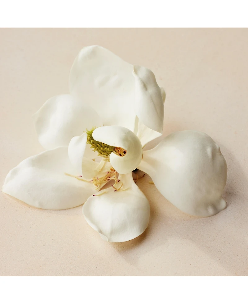 Chloe Atelier des Fleurs Magnolia Alba Eau de Parfum Spray, 5 oz.
