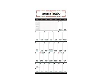 Tf Publishing Paper Goods 2027 Spanish Words for Everyone Wall Calendar