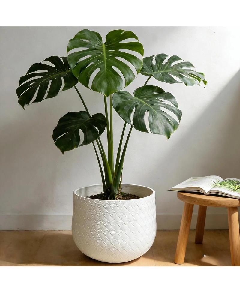 Streamdale Furniture Set of 3 Round Magnesium Oxide Planters with Weaving Pattern