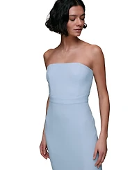 Whistles Women's Gemma Strapless Maxi Dress