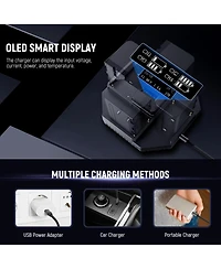 Neewer Nw-F4 Camera Battery and Charging Accessory with 100W, Usb C