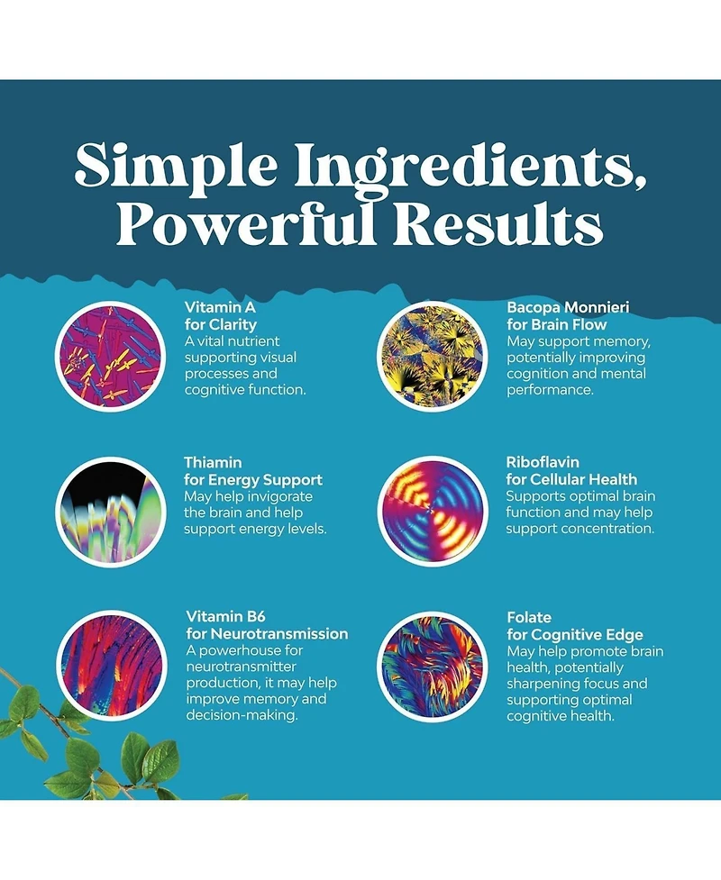 Nature's Craft Neuro Health Brain and Focus Formula, Mental Focus Nootropic Memory Supplement for Brain Health & and Performance Blend, Nature's Craft