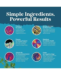 Nature's Craft Neuro Health Brain and Focus Formula, Mental Focus Nootropic Memory Supplement for Brain Health & and Performance Blend, Nature's Craft