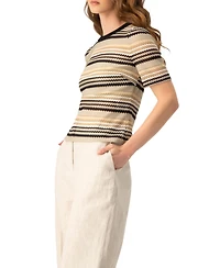 Ivonne Women's Chevron Stripe Crochet Knit Top