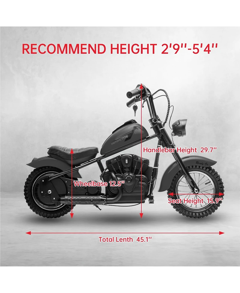 homfan 24V 250W Electric Dirt Bike for Kids, 2-Speed Ride On Motorcycle, Up to 14 Mph, Leather Seat, Rear Brake, For Ages 8-12