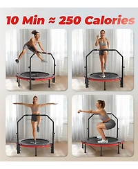 Fed Fitness 3-Pack Fabric Resistance Bands, 3 Levels for Legs and Glutes, Lightweight Home Gym Gear