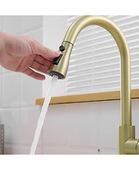 Phying Nickel Gold Kitchen Sink Faucet with Deck Plate Kitchen Faucets with Pull out Sprayer Single Handle Kitchen Faucet