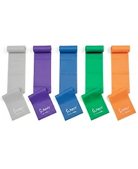 Sunny Health & Fitness 5-Level Resistance Band Set, 3-30 lbs