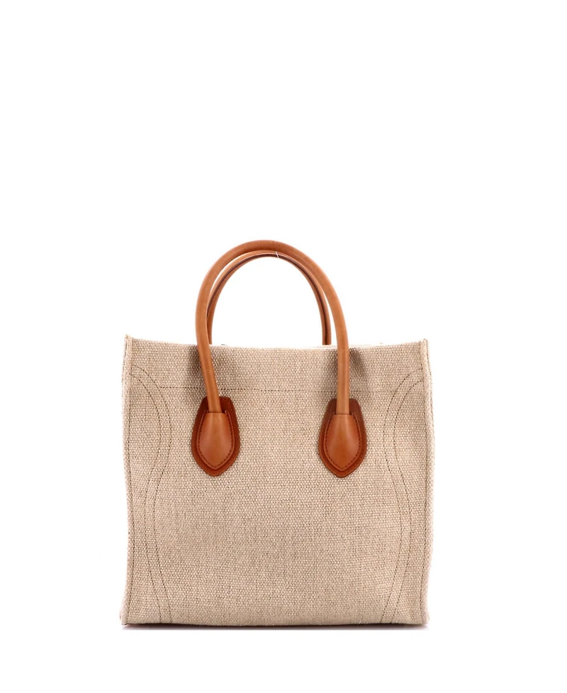 Pre-Owned Celine Medium Phantom Bag Canvas