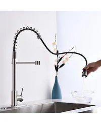 Busdays Brushed Nickel Single Handle Commercial Modern Spring High Arc Kitchen Faucet with Water Filter System Flexible Bendable Design